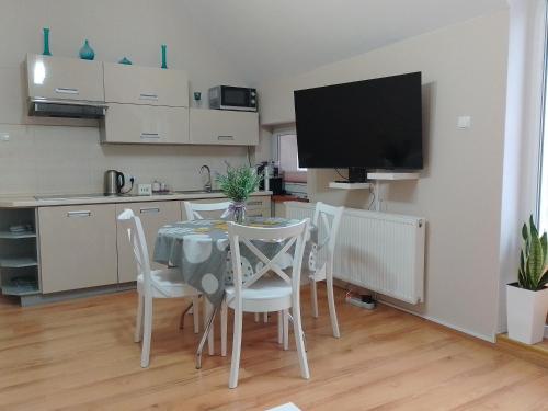 Kuchyň nebo kuchyňský kout v ubytování Apartament Alias