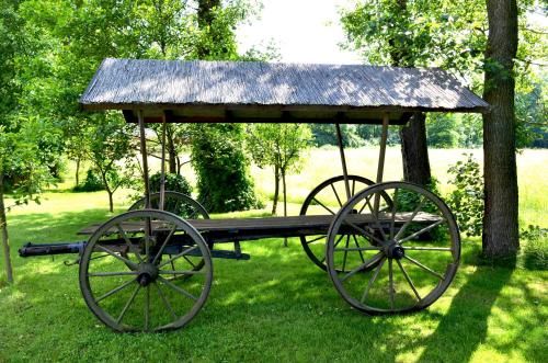 a wooden cart with a roof on the grass at Logis Hôtel Kur- und Wellnesshaus Spree Balance in Burg