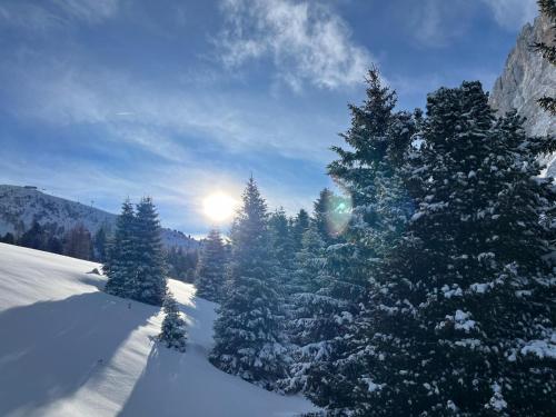 Φυσικό τοπίο κοντά σε αυτό το διαμέρισμα