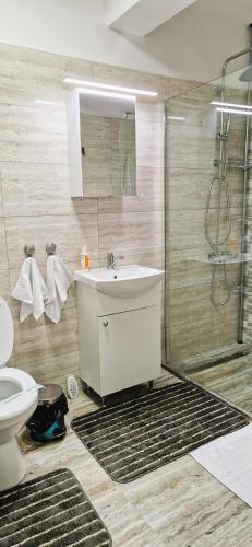 a bathroom with a sink and a shower at Apartament Atlas in Popeşti-Leordeni