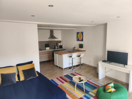 TV a/nebo společenská místnost v ubytování Spacieux Studio Sushi - 1 lit double - Rue calme- Centre ville