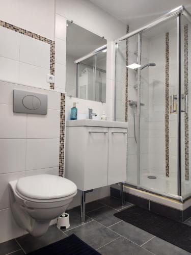 a white bathroom with a toilet and a shower at Spacieux Studio Sushi - 1 lit double - Rue calme- Centre ville in Charleville-Mézières