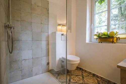 BargumFlat In Historic Guesthouse In Bargum的带淋浴和卫生间的浴室以及窗户。