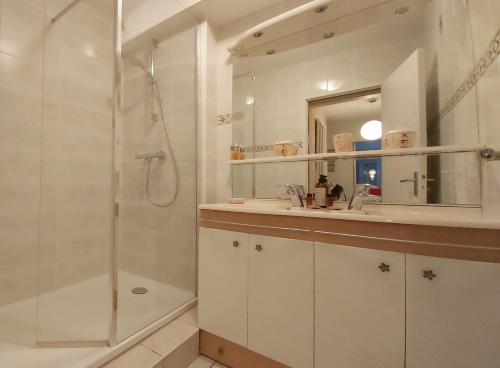 :) Spacieux T4 AÉROPORT, ensoleillé, déco soignée في بلانياك: حمام مع دش ومغسلة