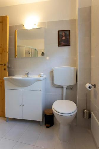 a bathroom with a toilet and a sink and a mirror at Casa Elena in Casso