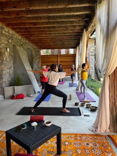 a group of people doing yoga in a room at Appartements au Cerf de la Lune in Crots