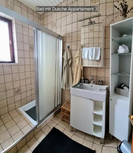 a bathroom with a shower and a sink at Appartement Schuller in Wagrain