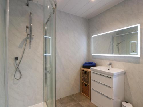 a bathroom with a shower and a sink at Marchdyke Farm Cottage in Lockerbie