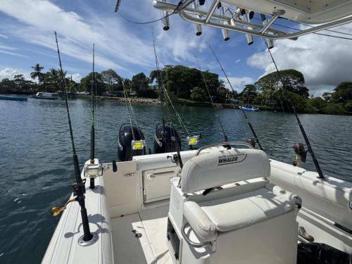 Θέα στο ποτάμι κοντά σε αυτός ο ξενώνας