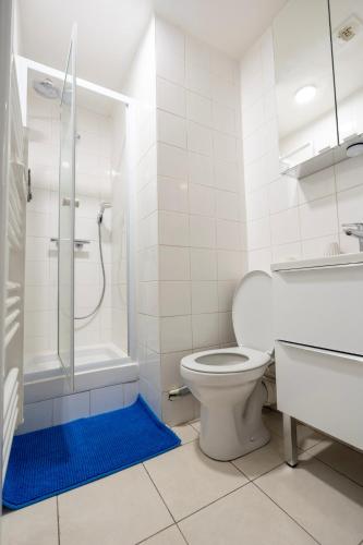 a white bathroom with a toilet and a shower at Le petit loft in Bobigny