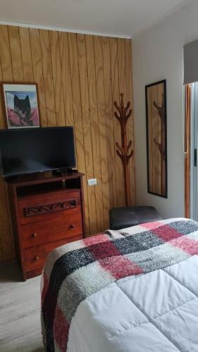 a bedroom with a bed and a tv on a dresser at Cabaña Campestre in El Cerrillo