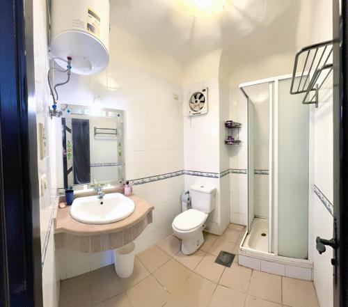 Un baño con lavabo, inodoro y ducha. en la hacienda studio, en Ras Sedr