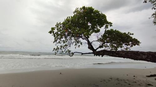 Gallery image of Breathtaking Oceanview Studio in Manzanillo