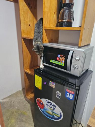 Η κουζίνα ή μικρή κουζίνα στο Boutique Studios Uvita