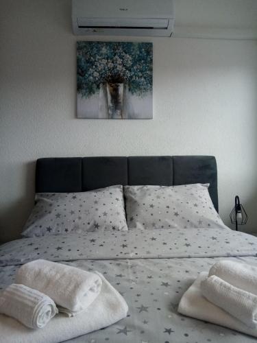 a bed with two pillows and a painting on the wall at WUGE Bihac in Bihać