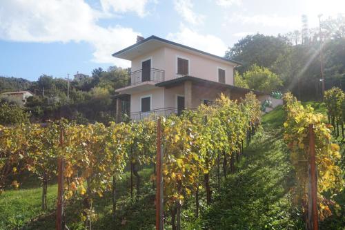 Κήπος έξω από το Pink House