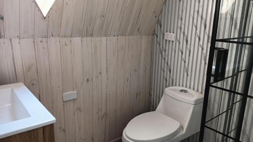 a bathroom with a white toilet and a sink at Refugio Silvestre Parque Nacional Siete Tazas-Salida a río y pesca in El Bolsico
