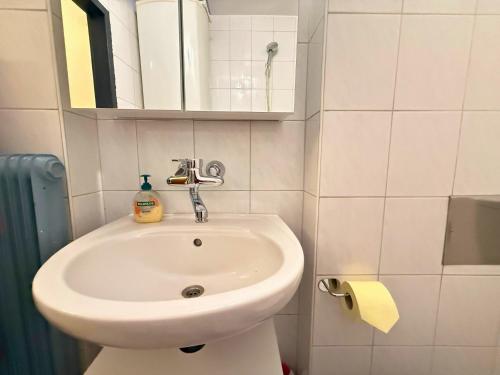 SchalchhamApartment - Nähe Bahnhof - Arbeitsplatz - Badewanne - Piano的浴室里有洗手池和镜子