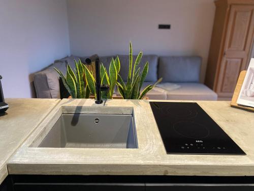 Φωτογραφία από το άλμπουμ του Wildwald Lodge σε Döbrönte