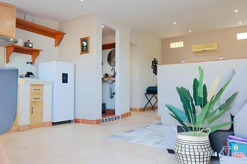 a living room with a plant in a vase at Depas Waicura s in Loreto