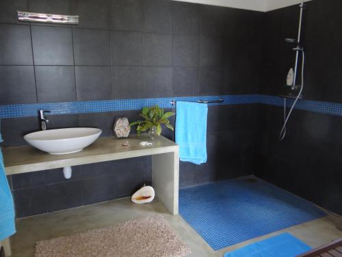 a bathroom with a sink and a tub and a shower at Fler Payanke Apartment in Anse Royale