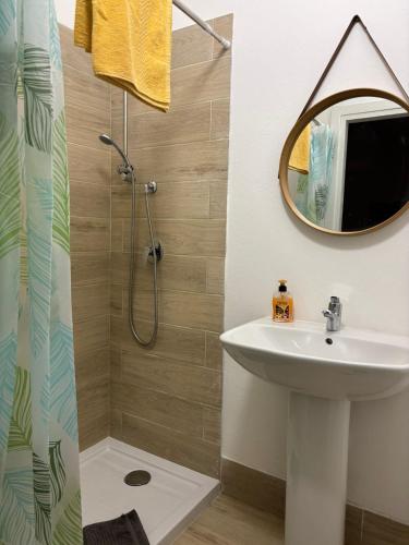a bathroom with a sink and a shower with a mirror at L edera Gigante in Civezzano