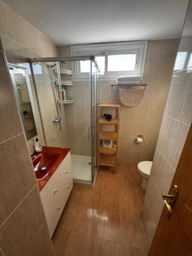 a bathroom with a shower and a sink and a toilet at Cozy Apartment Madrid in Madrid