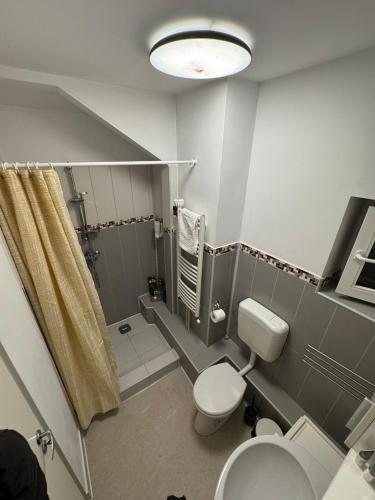 a small bathroom with a toilet and a shower at Bucharest Residence in Bucharest
