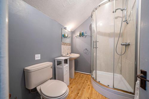 Cleaver Cottage في أندوفر: حمام مع دش ومرحاض ومغسلة