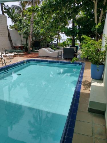 卡塔赫纳Casa - EL LAGUITO的绿树成荫的游泳池,地面铺有蓝色的瓷砖