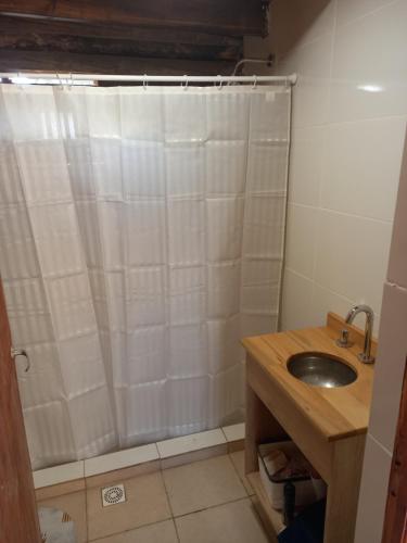 QuehuéLa Morena的带浴帘和水槽的浴室