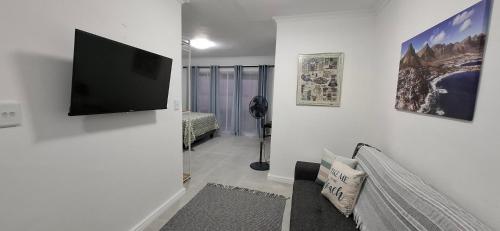 Cape TownGrey Vine Cottage - Flatlet的客厅墙上有一台平板电视
