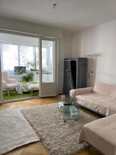 弗里堡Salon lumineux avec TV et Canapé的客厅里有一张沙发和一张桌子。