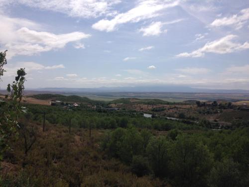 a view from the top of a hill with trees at Apartamento Turistico Cigüeña de Arguedas in Arguedas