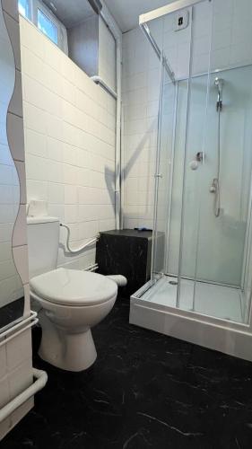 une salle de bain avec toilettes et douche en verre dans l'établissement Cosy 5 - Montbéliard, à Montbéliard