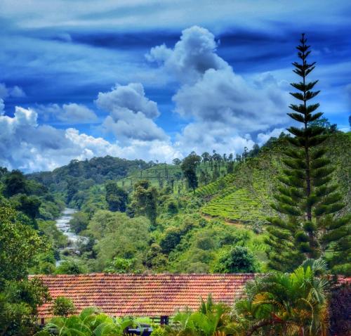 uma vista para um vale montanhoso com uma árvore em Rafters Retreat Coorg - The Riverside Homestay em Srimangala