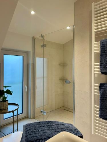 a bathroom with a shower with a glass door at H24ZINGST - Das Ferienhaus in Zingst