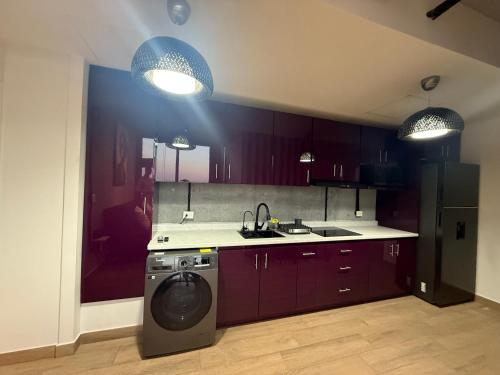 una cocina con lavadora y fregadero en BARRIO W -The best place to rest in downtown MTY, en Monterrey