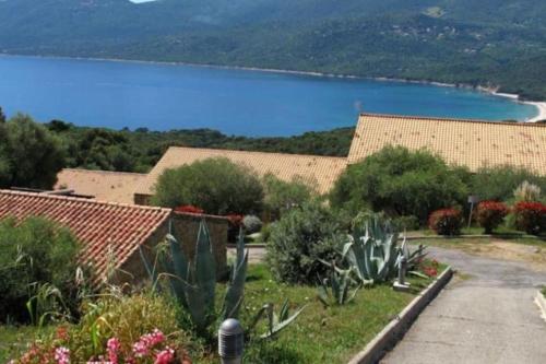 Příroda nedaleko vily