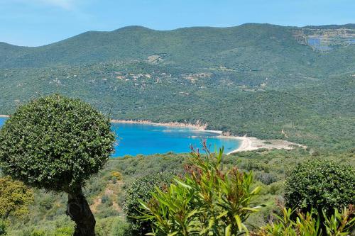 Příroda nedaleko vily