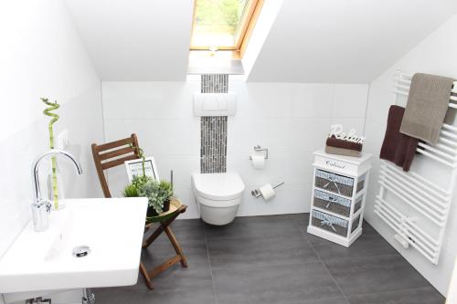 a bathroom with a toilet and a sink at Ferienhaus Lirum Larum Löffelstiel in Hemfurth-Edersee