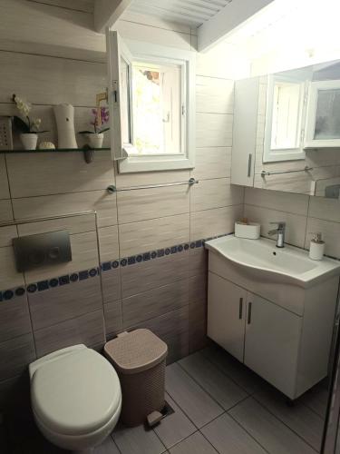 a bathroom with a toilet and a sink at Front Beach House in Skala Kallirachis