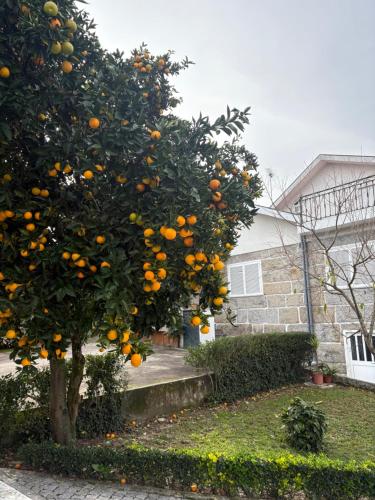 Ein Garten an der Unterkunft Souto Guimarães Country House