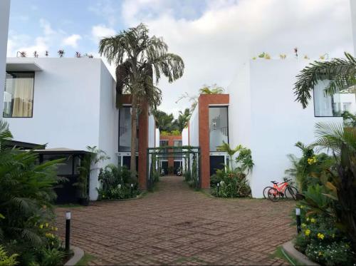 Κήπος έξω από το Casa Zeno