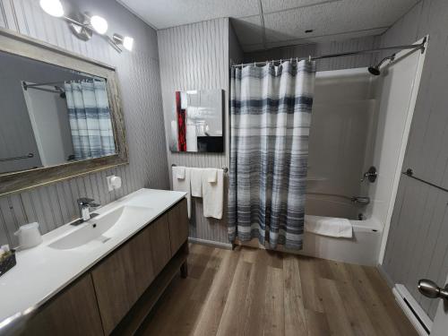 Koupelna v ubytování Motel Le Victo