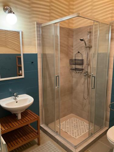 a bathroom with a shower and a sink at Apartmán Ekonomy in Spělkov