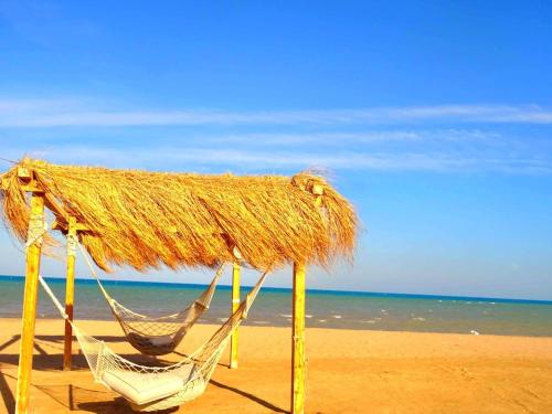 Paesaggio naturale nelle vicinanze dell'appartamento