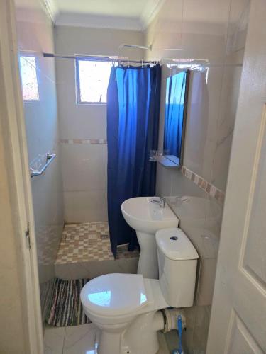 a bathroom with a toilet and a blue shower curtain at Ngwanase Properties in Vosburg