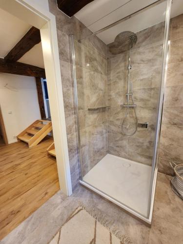 a shower with a glass door in a room at Fachwerkzeit Haus mit zwei Apartments in Quedlinburg