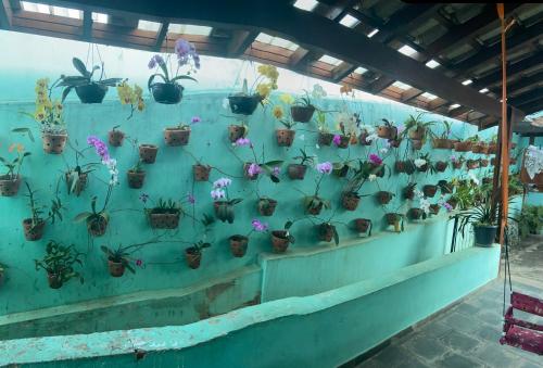 Swimmingpoolen hos eller tæt på Cantinho da Paz 2